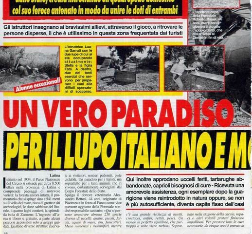 lupo2
